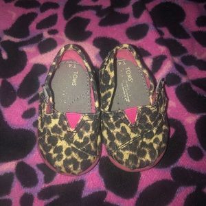 Baby leopard Toms